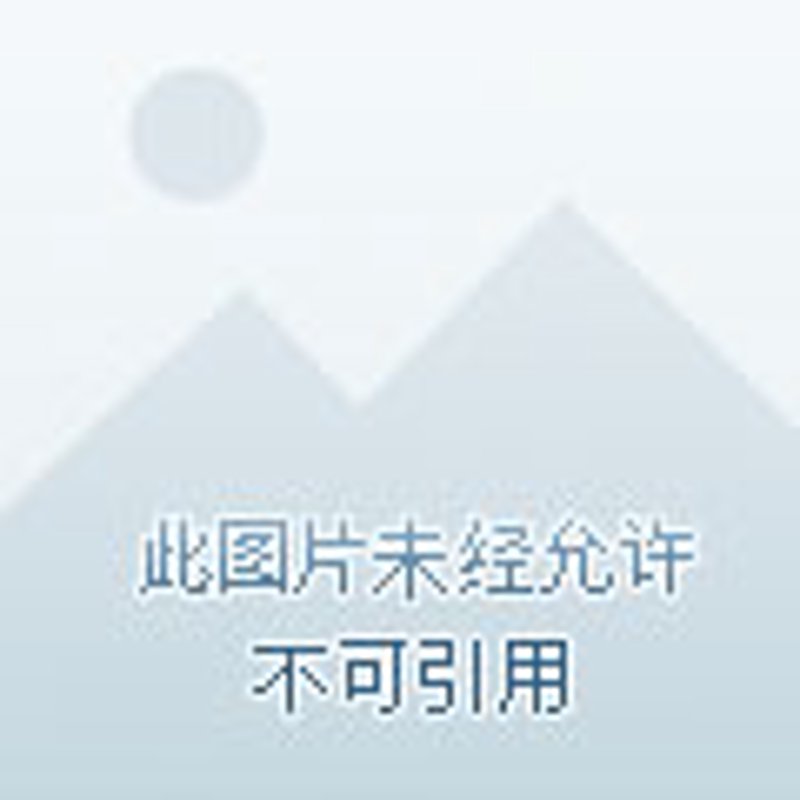 商贸市场中的智慧与创新:才哲贸易的探索之路
